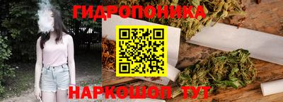 амф Гай