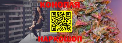 амф Гай