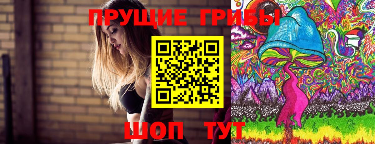 Шахты  Псилоцибиновые грибы Psilocybe  Вход с VPN 