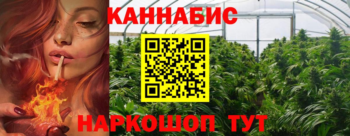 Шахты  Бошки марихуана THC 21%  Вход с VPN  Бошки Шишки VHQ  Канабис OG Kush  Шишки марихуана план 